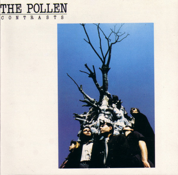 The Pollen - Contrasts (CD, Album) - De Platen Aap – Vinylwinkel in Brielle & online webshop voor muziekliefhebbers