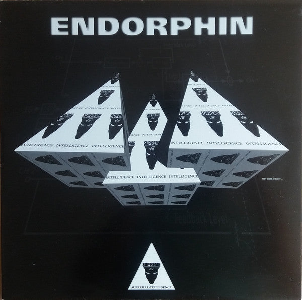 Endorphin : They Came At Night... (12")