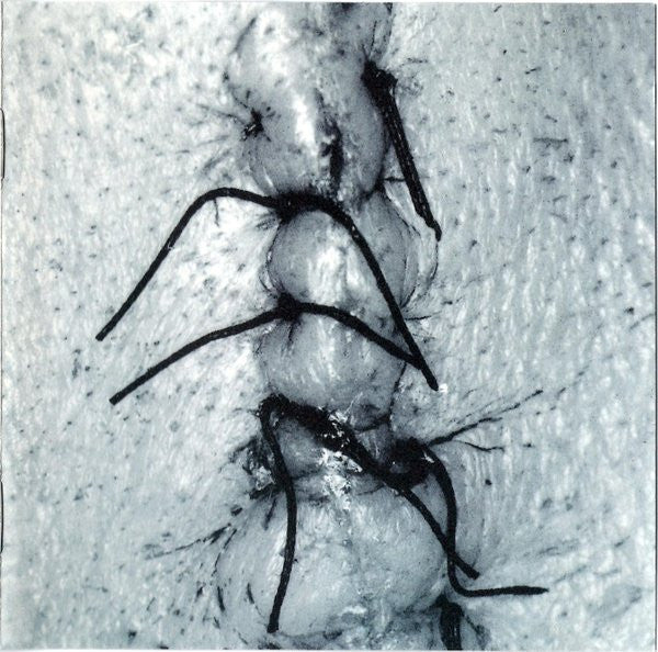 Scheer - Infliction (CD, Album) - De Platen Aap – Vinylwinkel in Brielle & online webshop voor muziekliefhebbers
