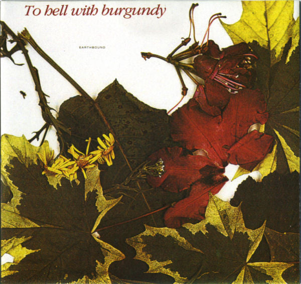 To Hell With Burgundy - Earthbound (CD, Album) - De Platen Aap – Vinylwinkel in Brielle & online webshop voor muziekliefhebbers
