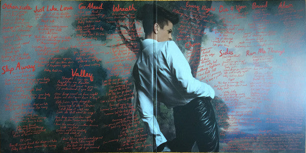 Perfume Genius - No Shape (2xLP, Album, Ltd, Cle) - De Platen Aap – Vinylwinkel in Brielle & online webshop voor muziekliefhebbers
