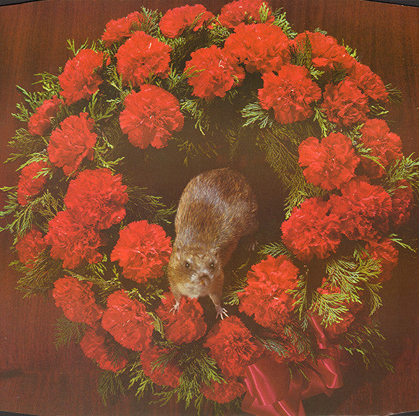 The Stranglers : Stranglers IV No More Heroes (LP, Album, RE)