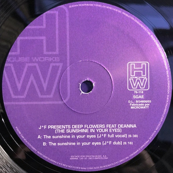 J*F* Presents Deep Flowers Feat. Deanna : The Sunshine In Your Eyes (12", Single)