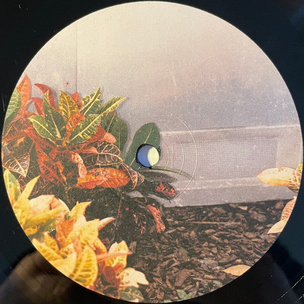 Pilote : Antenna (LP)