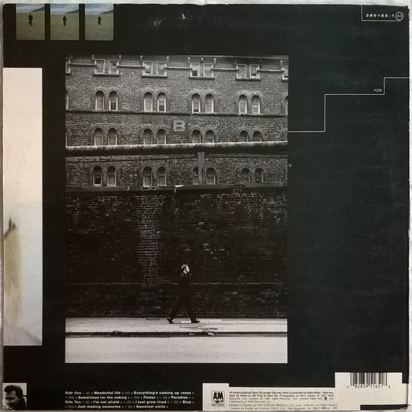 Black (2) : Wonderful Life (LP, Album)