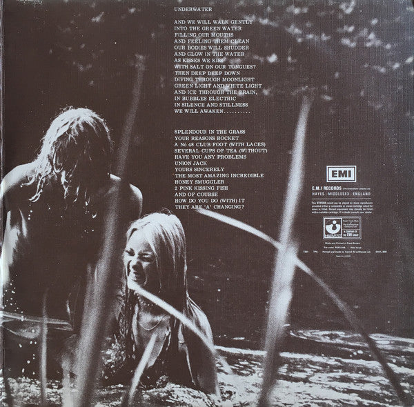Kevin Ayers : Whatevershebringswesing (LP, Album, Gat)