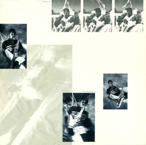 Sting : The Dream Of The Blue Turtles (LP,Album)