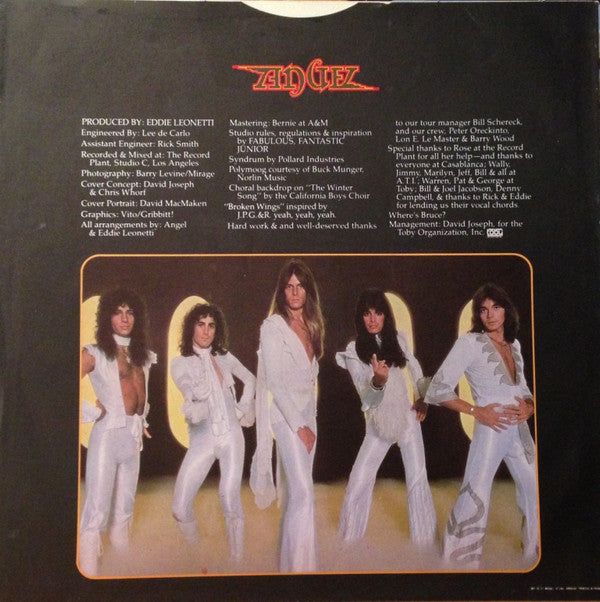 Angel (24) : White Hot (LP, Album)