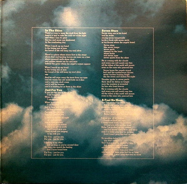 Peter Green (2) : In The Skies (LP, Album, Gat)