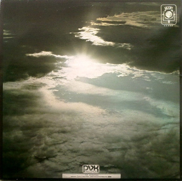 Peter Green (2) : In The Skies (LP, Album, Gat)