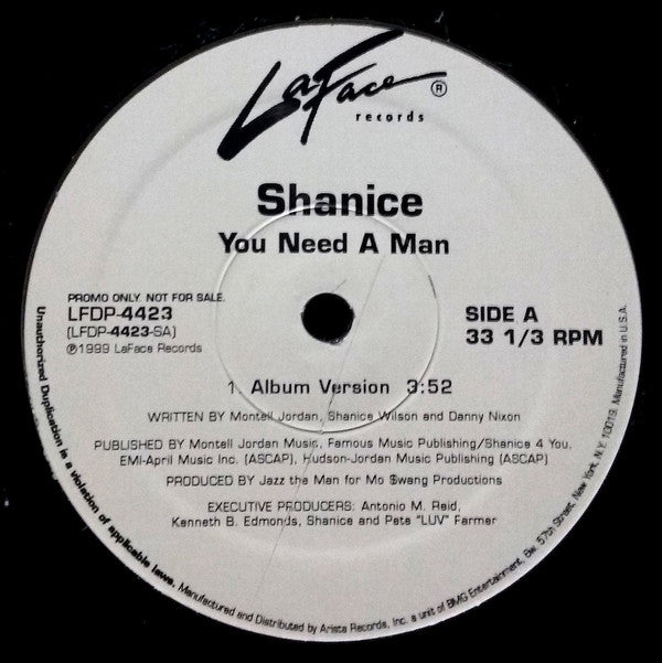 Shanice : You Need A Man (12", Promo)
