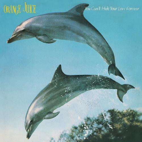 Orange Juice (3) : You Can't Hide Your Love Forever (LP, Album)