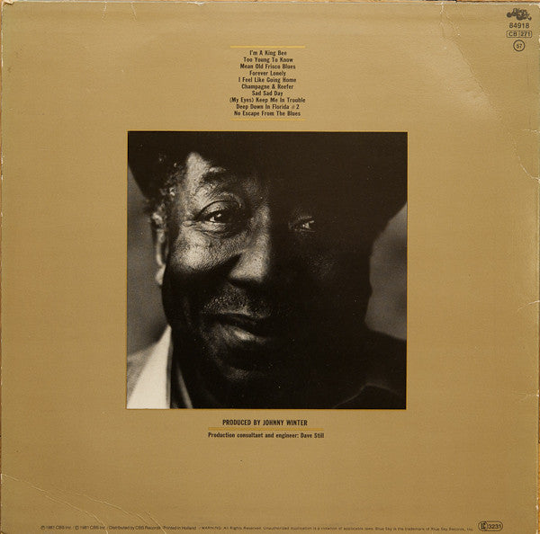 Muddy Waters : King Bee (LP, Album)