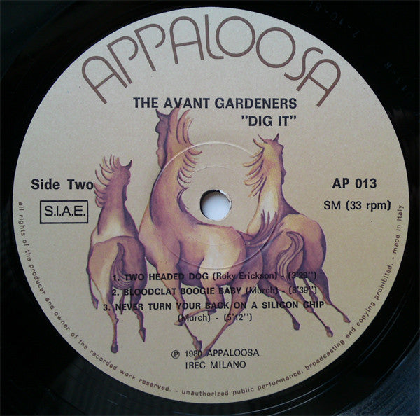 The Avant-Gardeners* : Dig It (LP, Album)