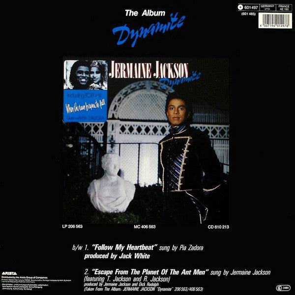 Jermaine Jackson & Pia Zadora - When The Rain Begins To Fall (12", Maxi) - De Platen Aap – Vinylwinkel in Brielle & online webshop voor muziekliefhebbers