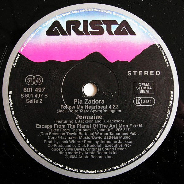 Jermaine Jackson & Pia Zadora - When The Rain Begins To Fall (12", Maxi) - De Platen Aap – Vinylwinkel in Brielle & online webshop voor muziekliefhebbers