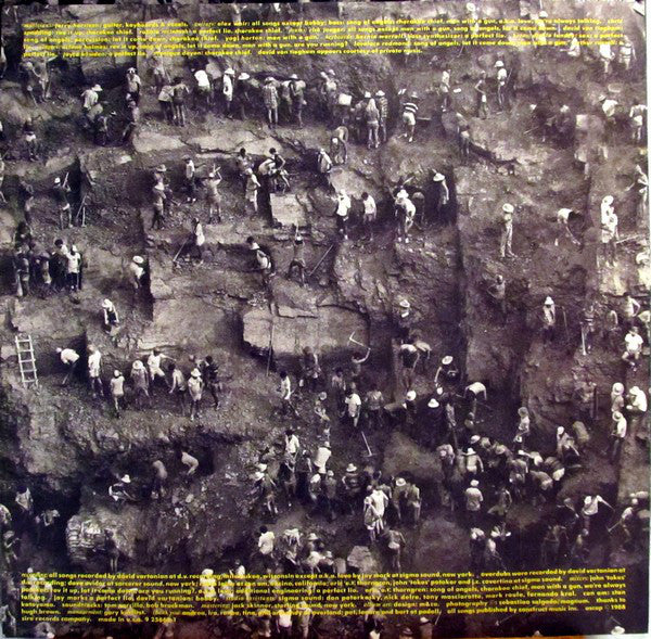 Jerry Harrison:Casual Gods* : Casual Gods (LP, Album)
