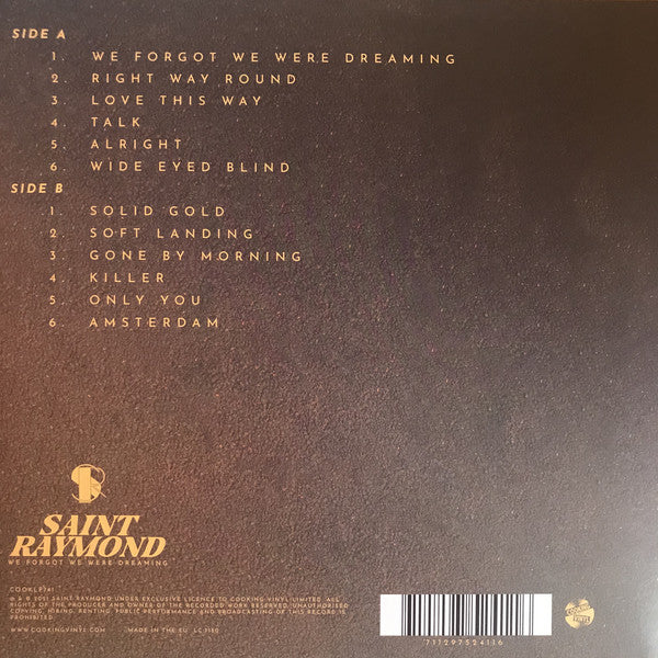 Saint Raymond : We Forgot We Were Dreaming (LP, Album, Bla)