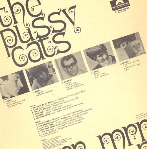 The Pussycats : Mrrr...Mrrr (LP, Album)