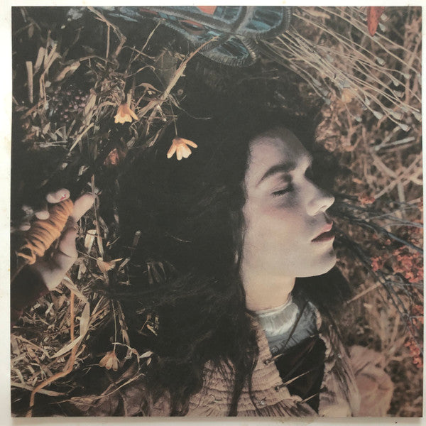 Rufus Wainwright : Want Two (LP, Album, RE, 180)