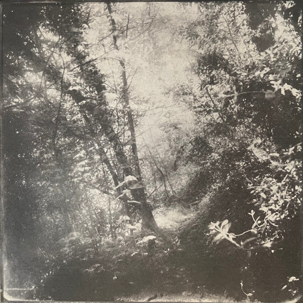 Azure Ray : Drawing Down The Moon (LP, Album)