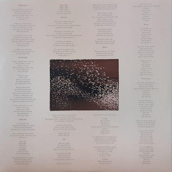 The Wandering Hearts - The Wandering Hearts (LP, Album) - De Platen Aap – Vinylwinkel in Brielle & online webshop voor muziekliefhebbers