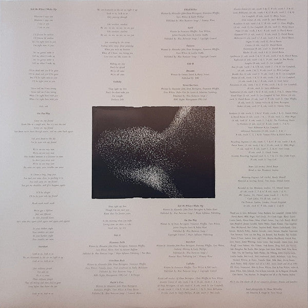 The Wandering Hearts - The Wandering Hearts (LP, Album) - De Platen Aap – Vinylwinkel in Brielle & online webshop voor muziekliefhebbers