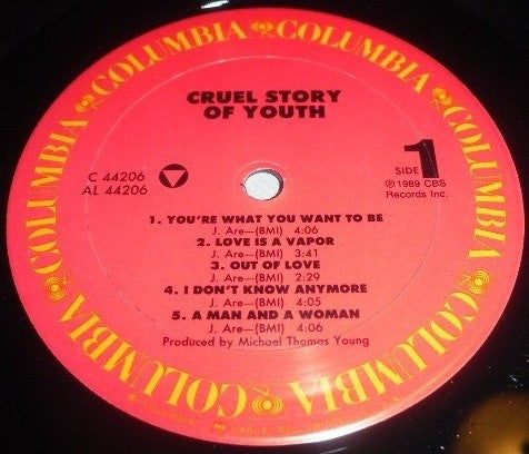 Cruel Story Of Youth : Cruel Story Of Youth (LP, Album)