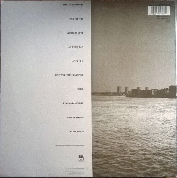 Bryan Adams - Into The Fire (LP, Album) - De Platen Aap – Vinylwinkel in Brielle & online webshop voor muziekliefhebbers