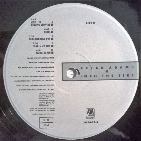 Bryan Adams - Into The Fire (LP, Album) - De Platen Aap – Vinylwinkel in Brielle & online webshop voor muziekliefhebbers
