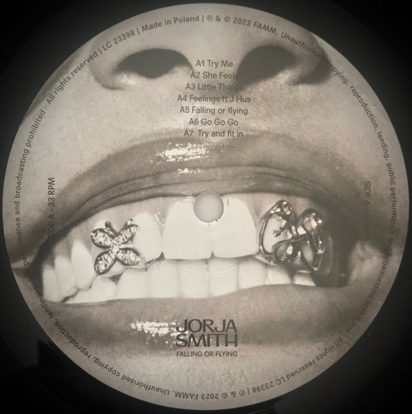 Jorja Smith : Falling Or Flying (LP,Album)