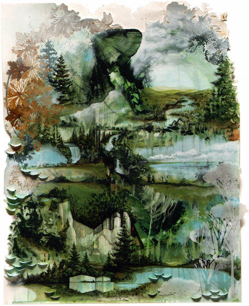 Bon Iver : Bon Iver, Bon Iver (LP,Album)