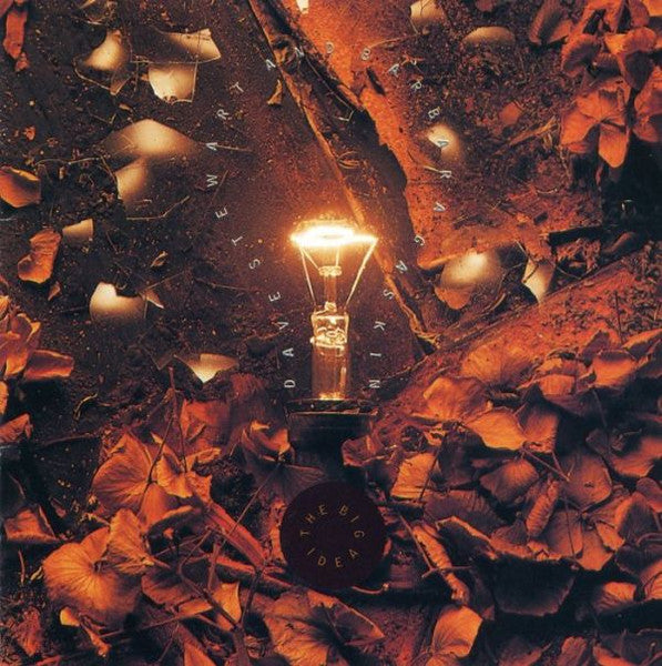 Dave Stewart & Barbara Gaskin - The Big Idea (CD, Album) - De Platen Aap – Vinylwinkel in Brielle & online webshop voor muziekliefhebbers