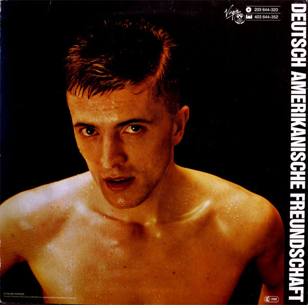 Deutsch Amerikanische Freundschaft : Alles Ist Gut (LP, Album)