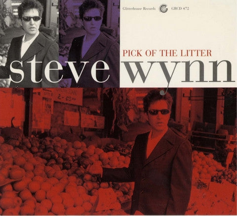 Steve Wynn - Pick Of The Litter (CD, Album) - De Platen Aap – Vinylwinkel in Brielle & online webshop voor muziekliefhebbers