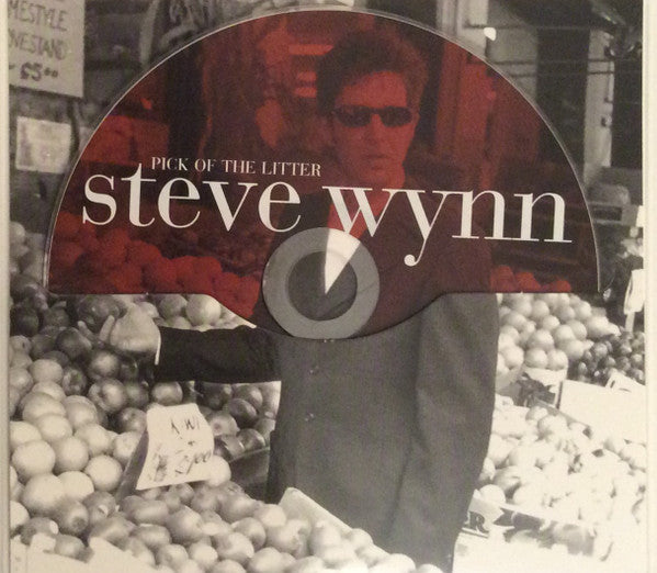 Steve Wynn - Pick Of The Litter (CD, Album) - De Platen Aap – Vinylwinkel in Brielle & online webshop voor muziekliefhebbers