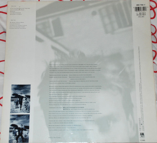Sting : The Dream Of The Blue Turtles (LP, Album)
