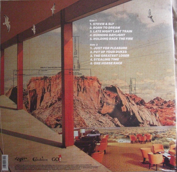Young Gun Silver Fox : Pleasure (LP,Album)