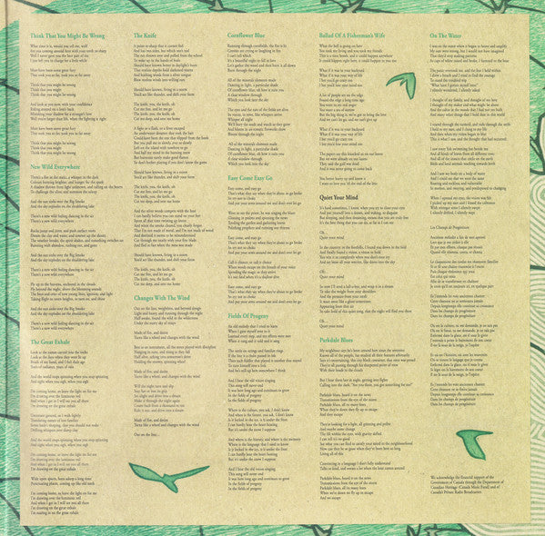 Great Lake Swimmers : New Wild Everywhere (2xLP, Album, Ltd, Num)