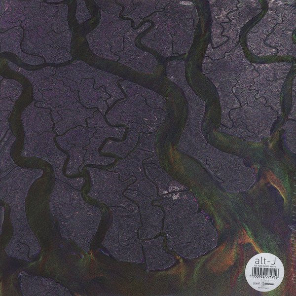 Alt-J : An Awesome Wave (LP, Album, Whi)