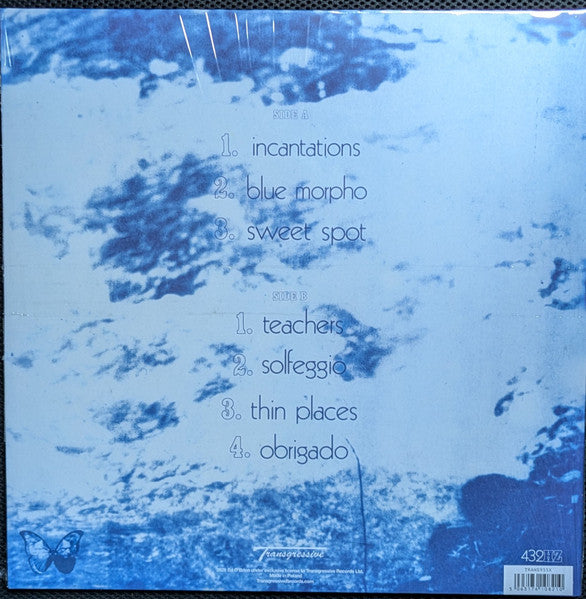 Ed O'Brien : Blue Morpho (LP, Album, Bla)