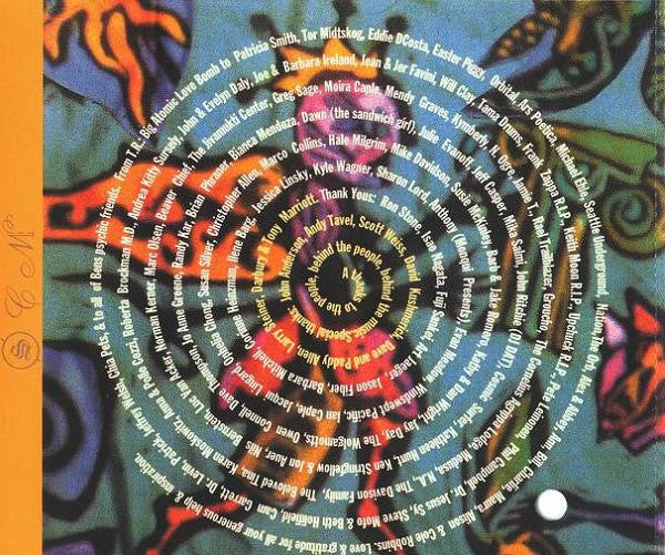 Sky Cries Mary - This Timeless Turning (CD, Album) - De Platen Aap – Vinylwinkel in Brielle & online webshop voor muziekliefhebbers
