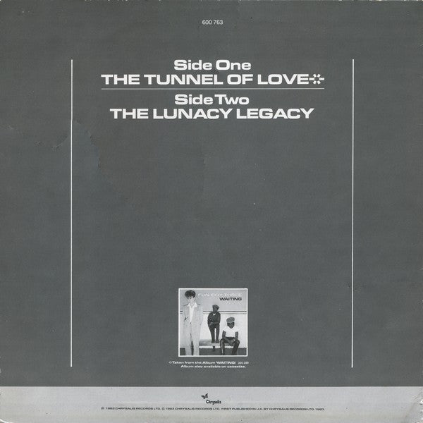 Fun Boy Three : The Tunnel Of Love (12")