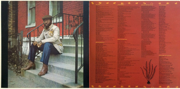 Curtis Mayfield : Roots (LP, Album, RE, Gat)