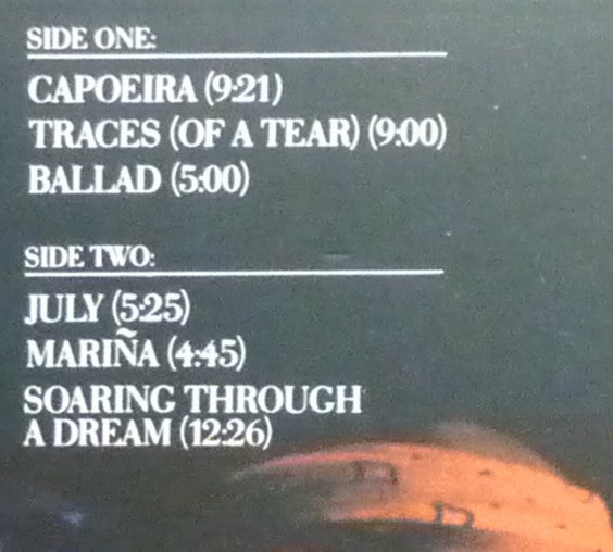 Al Di Meola Project : Soaring Through A Dream (LP, Album)