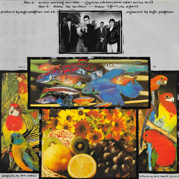 XTC : Senses Working Overtime (12", EP, Single)