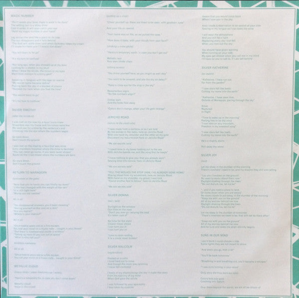 Damien Jurado - Brothers And Sisters Of The Eternal Son (LP, Album) - De Platen Aap – Vinylwinkel in Brielle & online webshop voor muziekliefhebbers