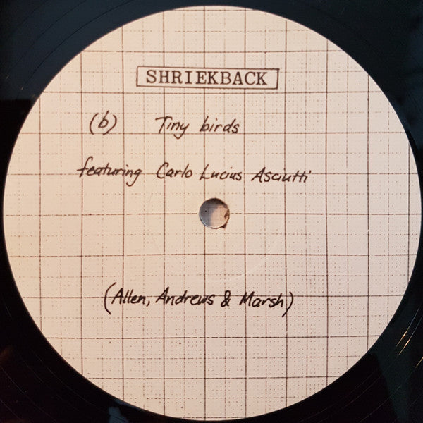 Shriekback : My Spine Is The Bassline (12")
