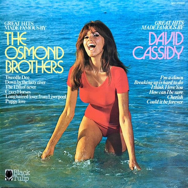 Unknown Artist : Great Hits Made Famous By The Osmond Brothers, David Cassidy (LP, Comp)