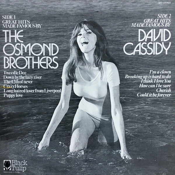 Unknown Artist : Great Hits Made Famous By The Osmond Brothers, David Cassidy (LP, Comp)